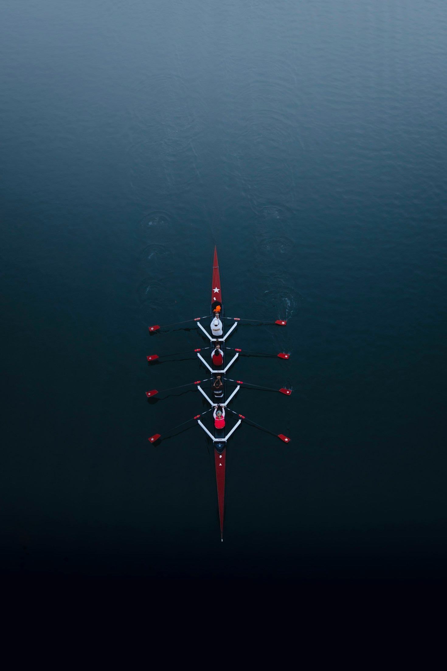 Rowing Workouts for Everyone: Beginners and Experienced Athletes